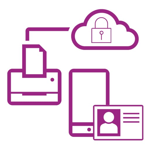 Secure Network Icon